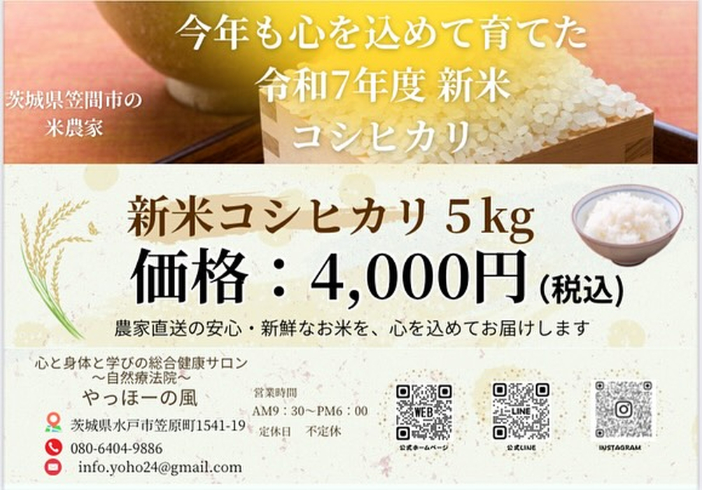 画像424