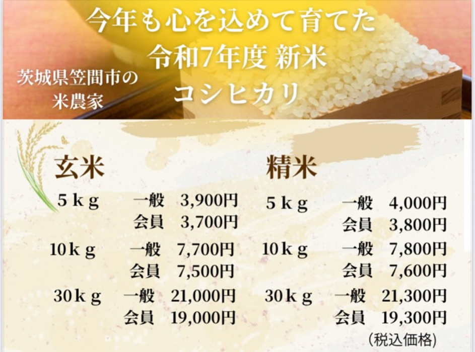 画像442