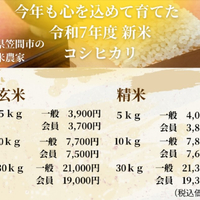 画像455
