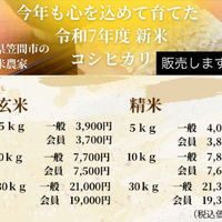画像497