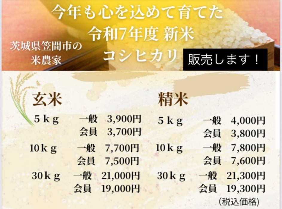 画像497